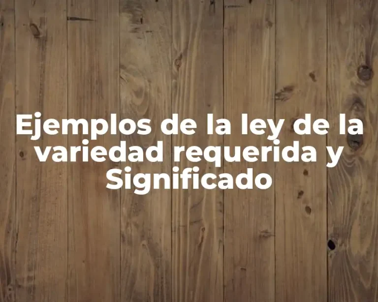 Ejemplos de la ley de la variedad requerida y Significado