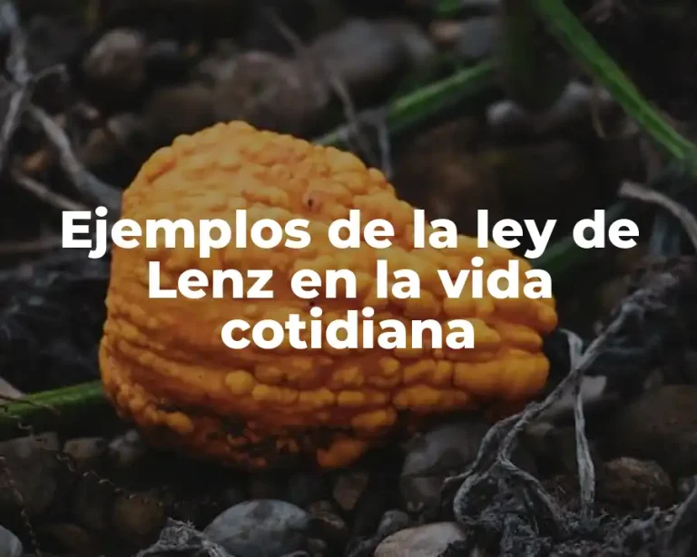 Ejemplos de la ley de Lenz en la vida cotidiana