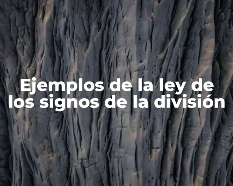 Ejemplos de la ley de los signos de la división