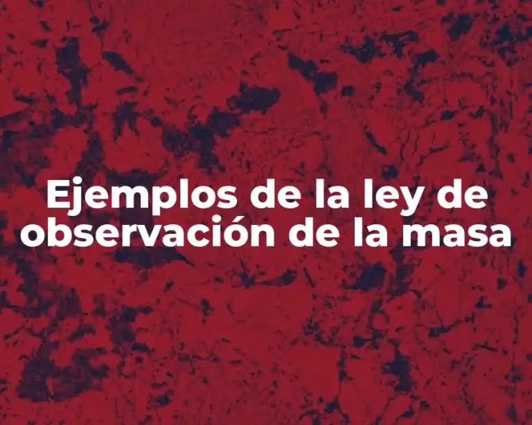 Ejemplos de la ley de observación de la masa
