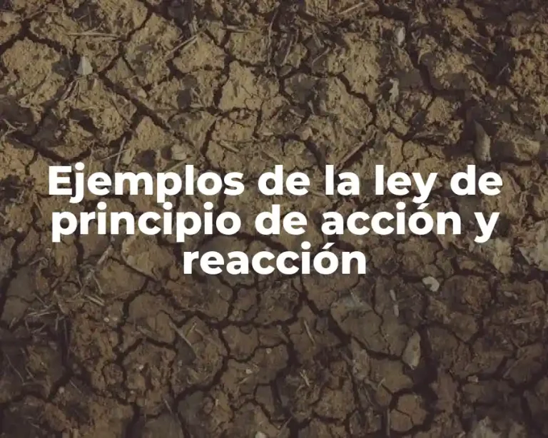 Ejemplos de la ley de principio de acción y reacción