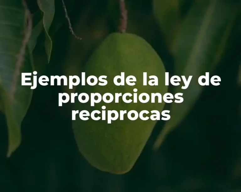 Ejemplos de la ley de proporciones reciprocas