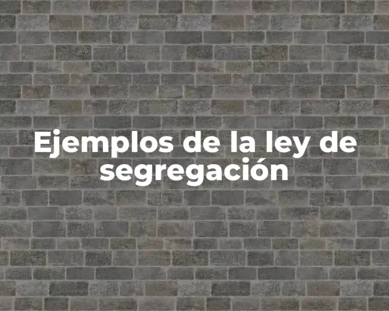 Ejemplos de la ley de segregación