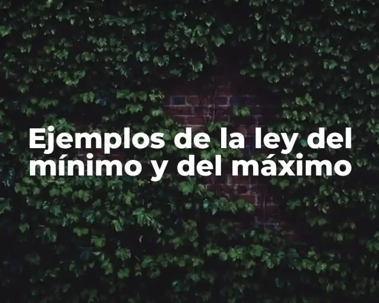 Ejemplos de la ley del mínimo y del máximo