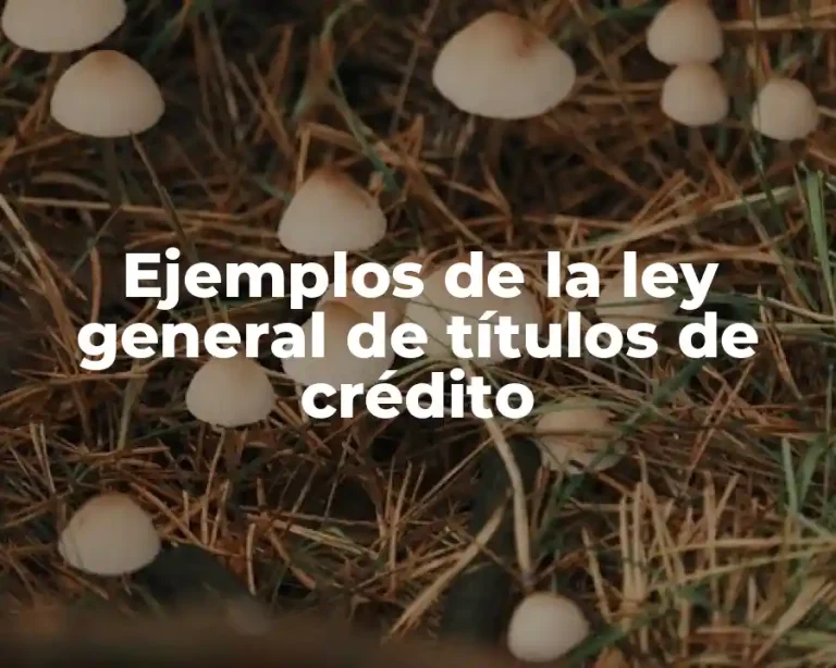 Ejemplos de la ley general de títulos de crédito