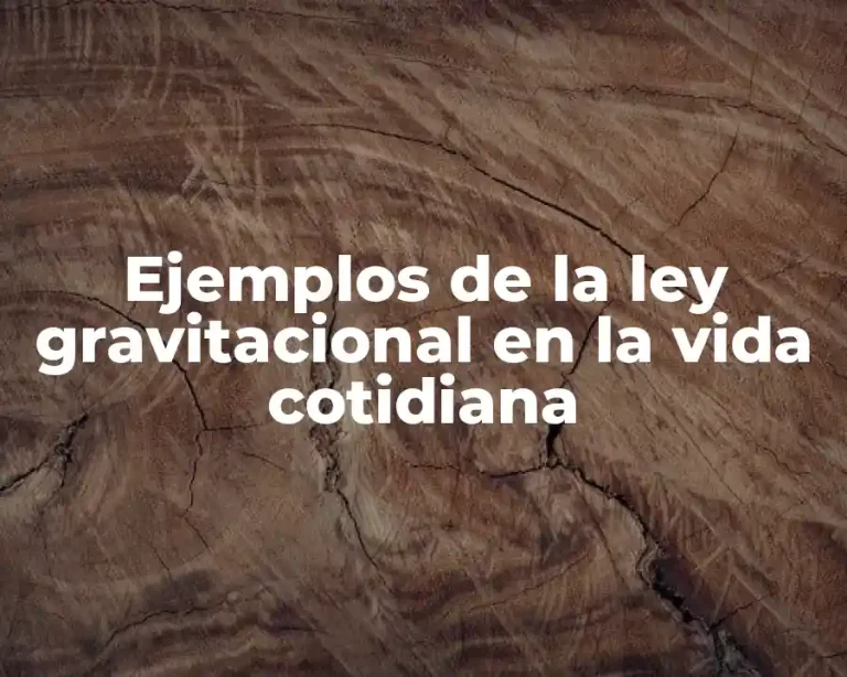 Ejemplos de la ley gravitacional en la vida cotidiana