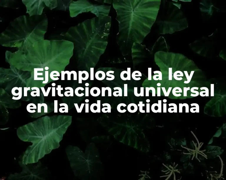 Ejemplos de la ley gravitacional universal en la vida cotidiana