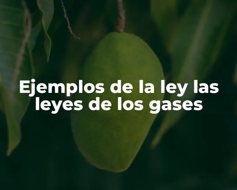 Ejemplos de la ley las leyes de los gases