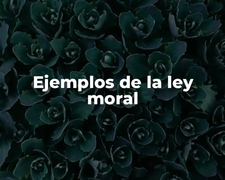 Ejemplos de la ley moral