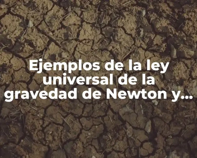 Ejemplos de la ley universal de la gravedad de Newton y Significado