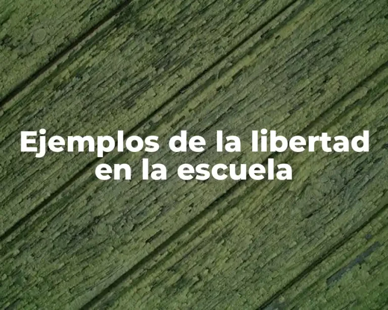 Ejemplos de la libertad en la escuela