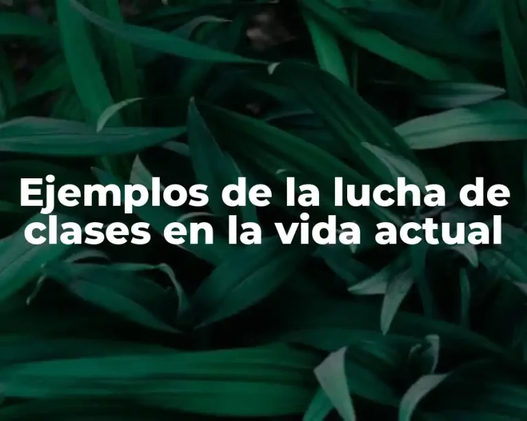 Ejemplos de la lucha de clases en la vida actual