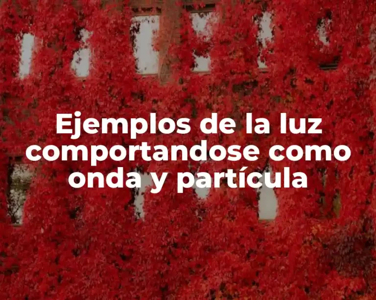 Ejemplos de la luz comportandose como onda y partícula
