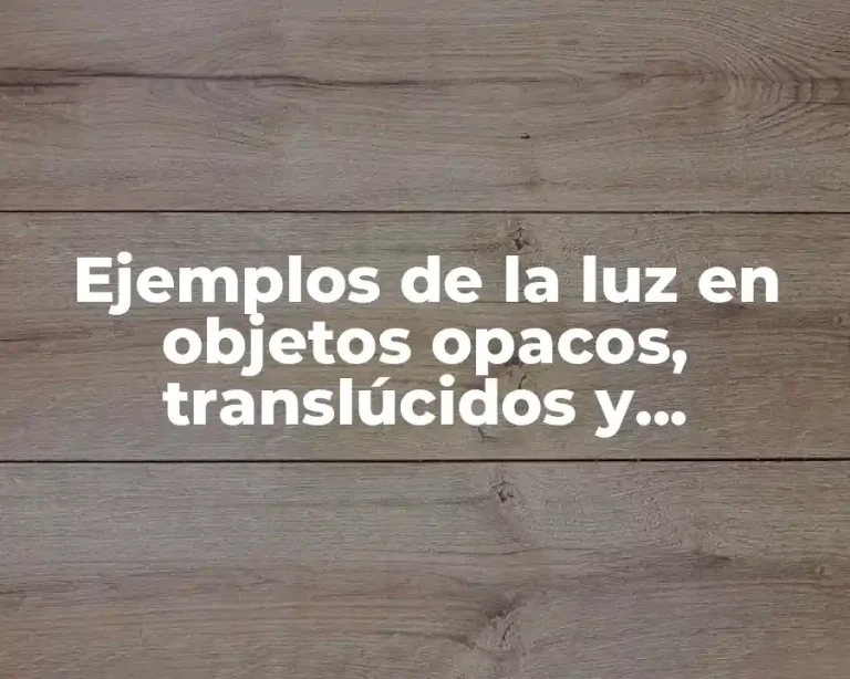 Ejemplos de la luz en objetos opacos, translúcidos y transparentes