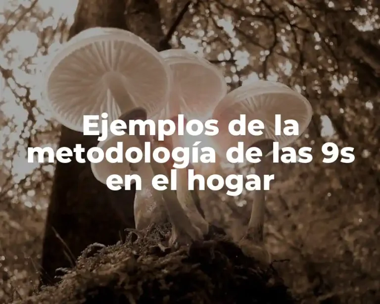 Ejemplos de la metodología de las 9s en el hogar