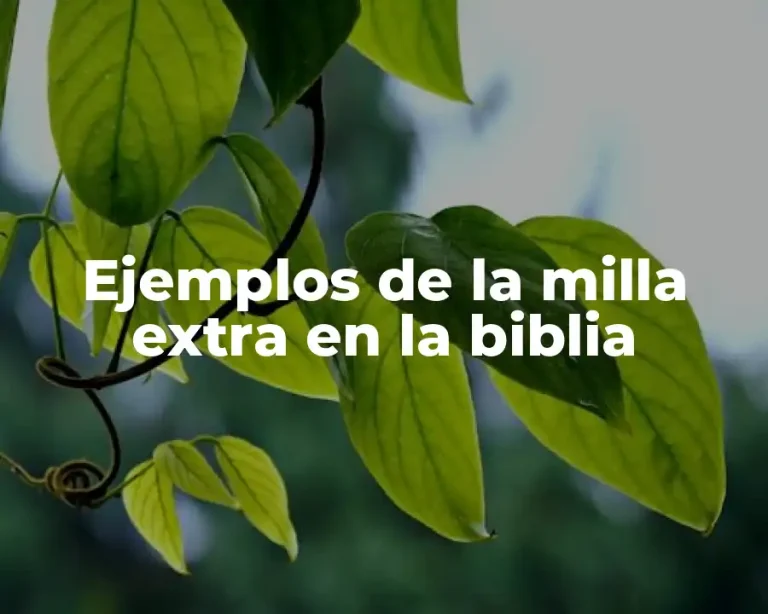 Ejemplos de la milla extra en la biblia