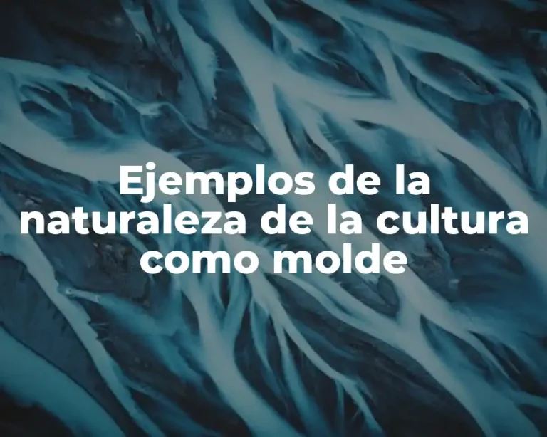 Ejemplos de la naturaleza de la cultura como molde