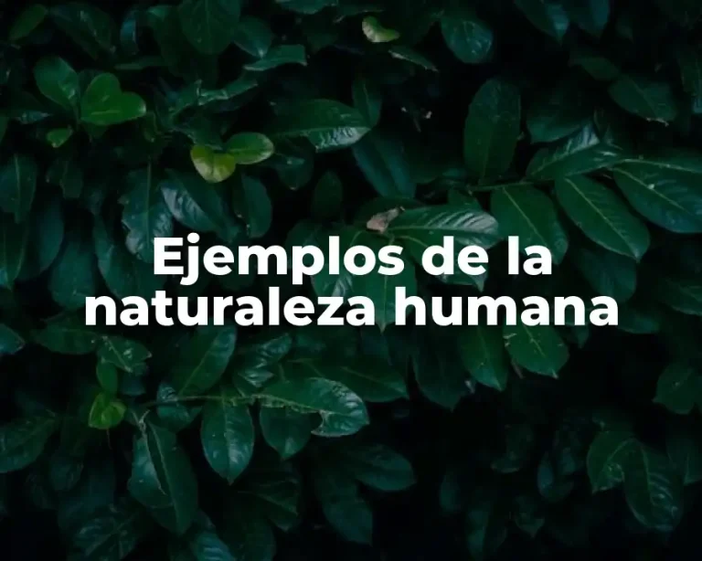 Ejemplos de la naturaleza humana