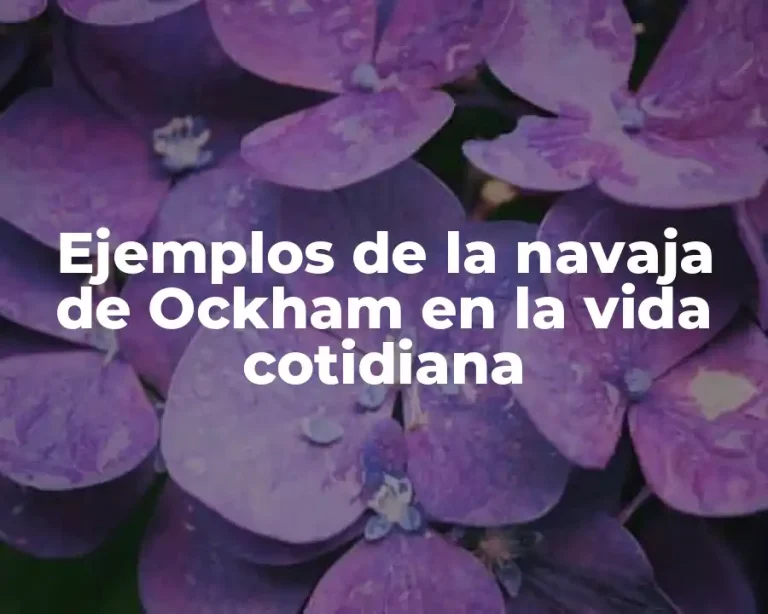Ejemplos de la navaja de Ockham en la vida cotidiana