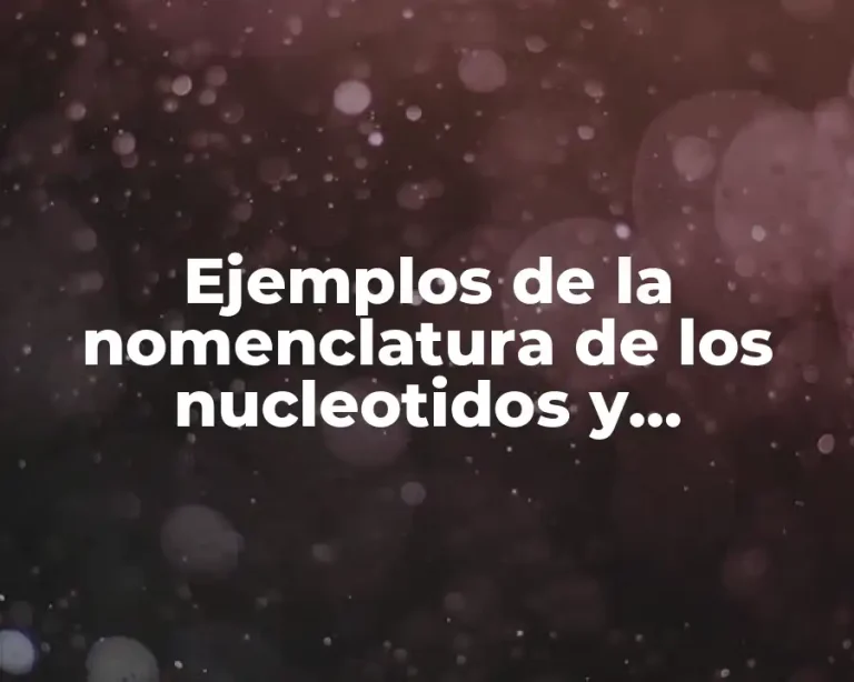 Ejemplos de la nomenclatura de los nucleotidos y nucleosidos