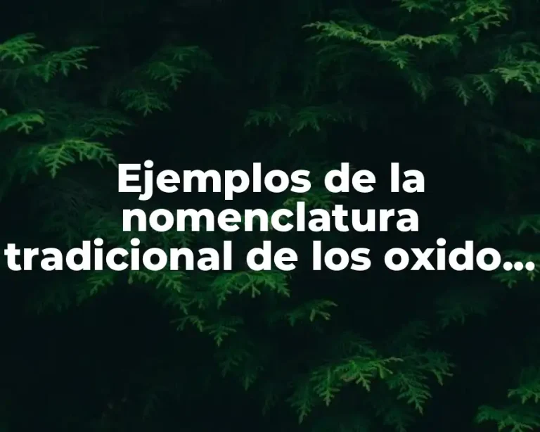 Ejemplos de la nomenclatura tradicional de los oxido metlicos