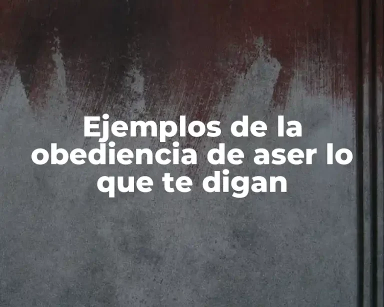 Ejemplos de la obediencia de aser lo que te digan