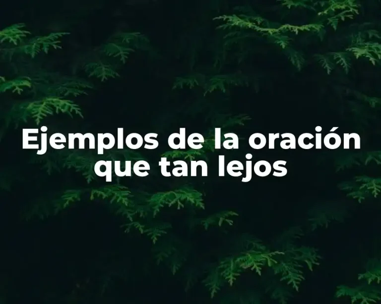 Ejemplos de la oración que tan lejos