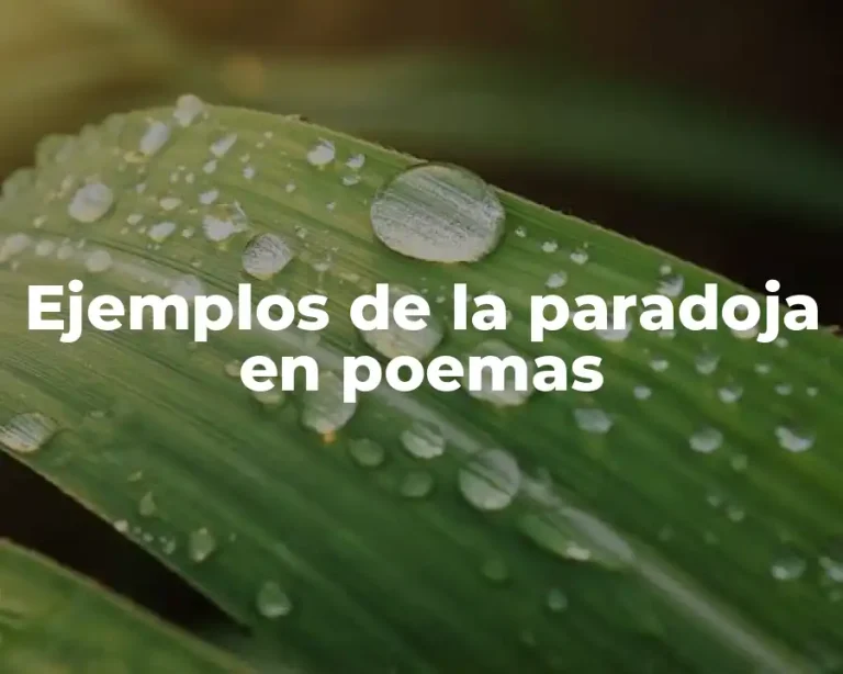 Ejemplos de la paradoja en poemas
