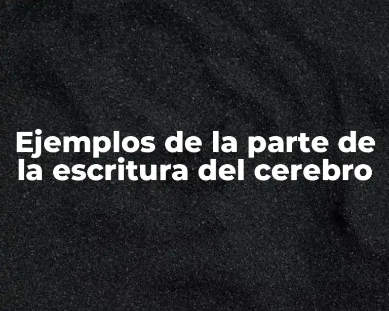 Ejemplos de la parte de la escritura del cerebro
