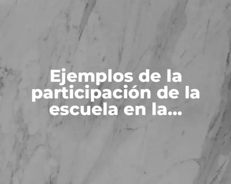 Ejemplos de la participación de la escuela en la comunidad