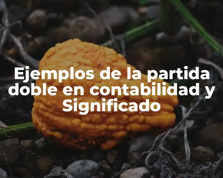 Ejemplos de la partida doble en contabilidad y Significado