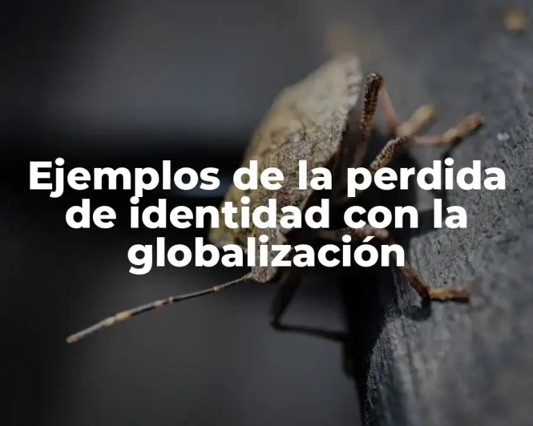 Ejemplos de la perdida de identidad con la globalización