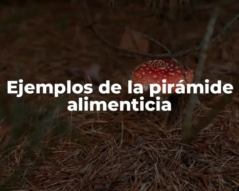 Ejemplos de la pirámide alimenticia