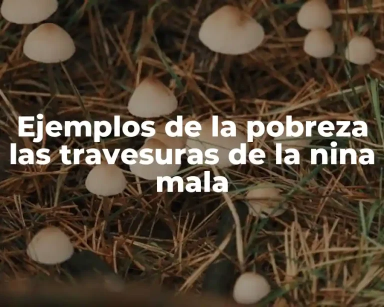 Ejemplos de la pobreza las travesuras de la nina mala