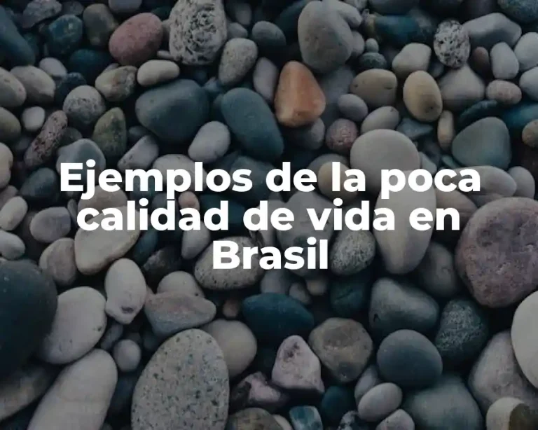Ejemplos de la poca calidad de vida en Brasil