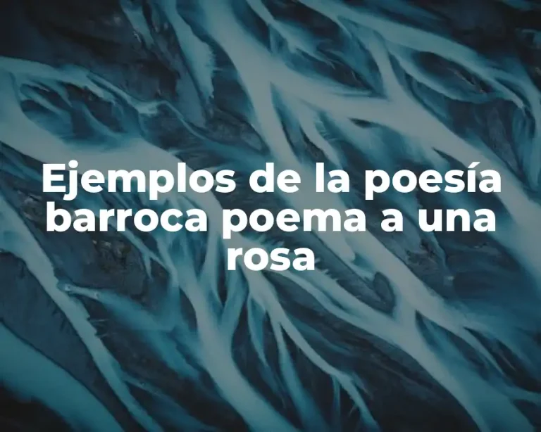 Ejemplos de la poesía barroca poema a una rosa