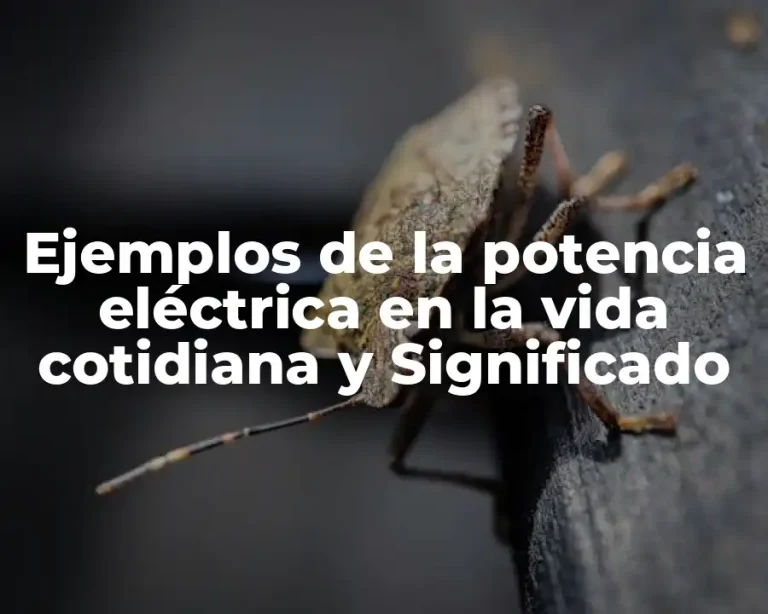Ejemplos de la potencia eléctrica en la vida cotidiana y Significado