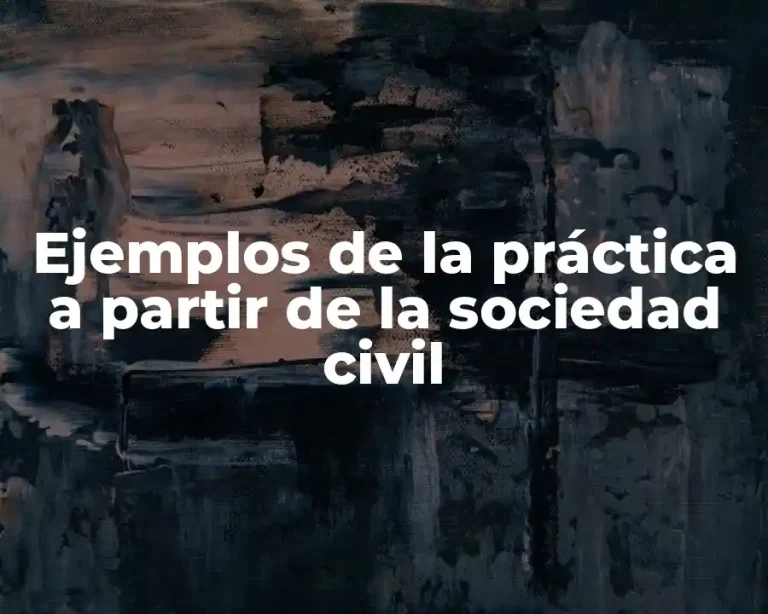 Ejemplos de la práctica a partir de la sociedad civil