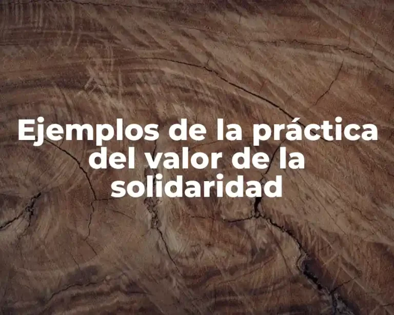 Ejemplos de la práctica del valor de la solidaridad