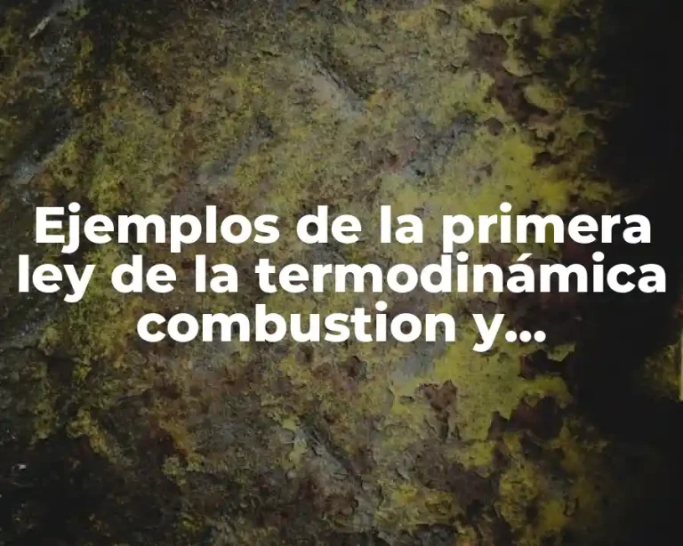 Ejemplos de la primera ley de la termodinámica combustion y Significado