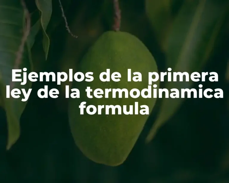 Ejemplos de la primera ley de la termodinamica formula