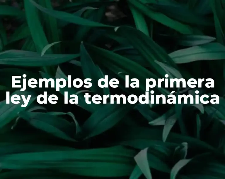 Ejemplos de la primera ley de la termodinámica