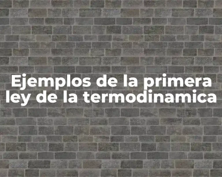Ejemplos de la primera ley de la termodinamica
