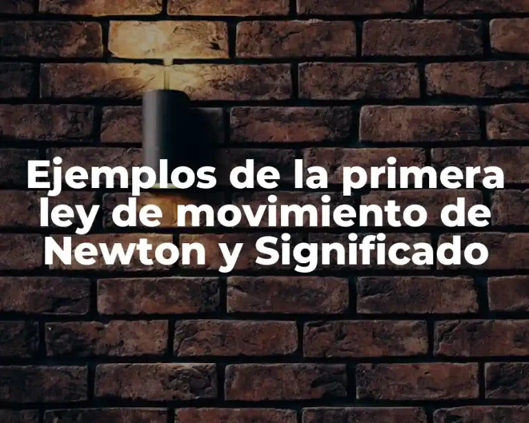 Ejemplos de la primera ley de movimiento de Newton y Significado