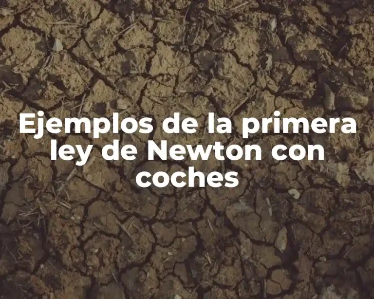 Ejemplos de la primera ley de Newton con coches