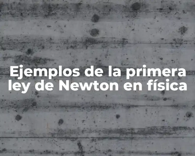Ejemplos de la primera ley de Newton en física