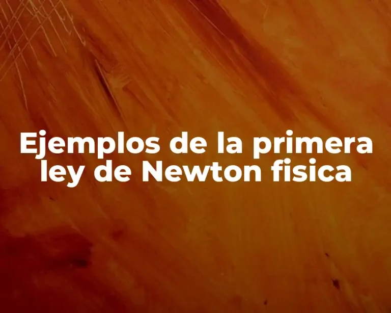 Ejemplos de la primera ley de Newton fisica