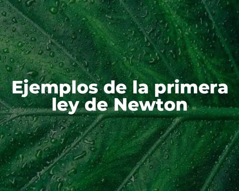 Ejemplos de la primera ley de Newton