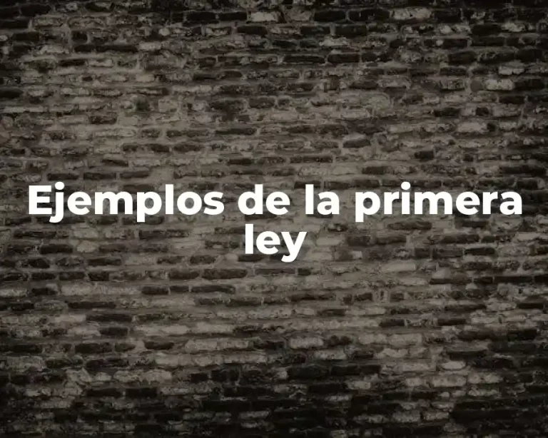 Ejemplos de la primera ley