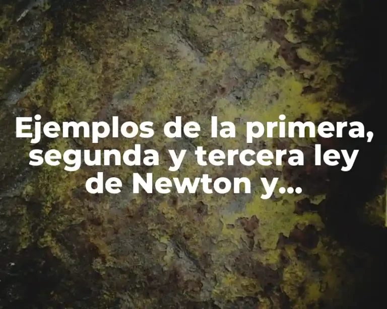 Ejemplos de la primera, segunda y tercera ley de Newton y Significado